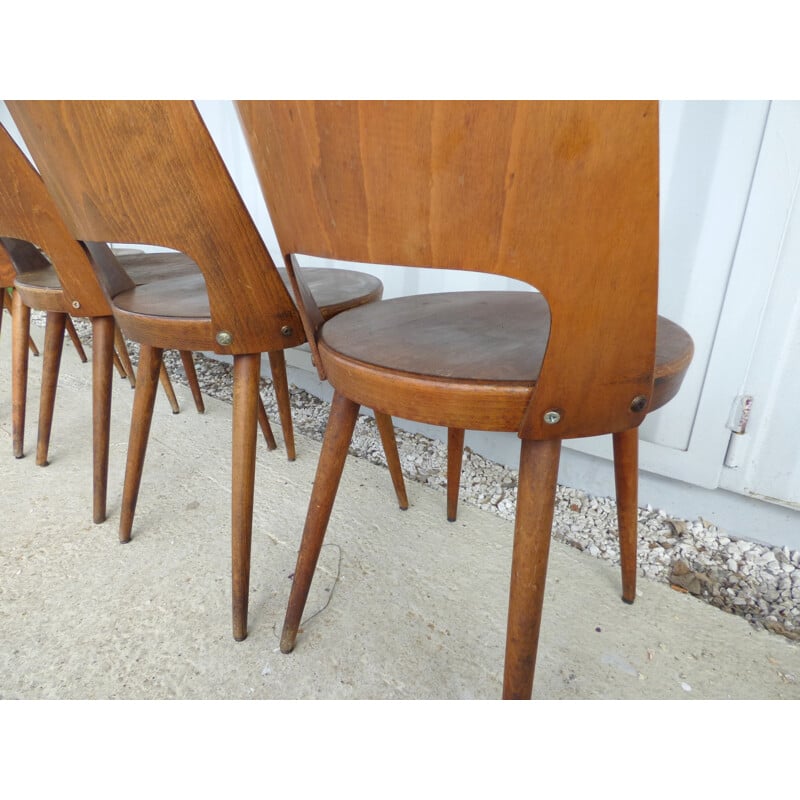 Suite de 6 chaises "Mondor" par Baumann - 1960