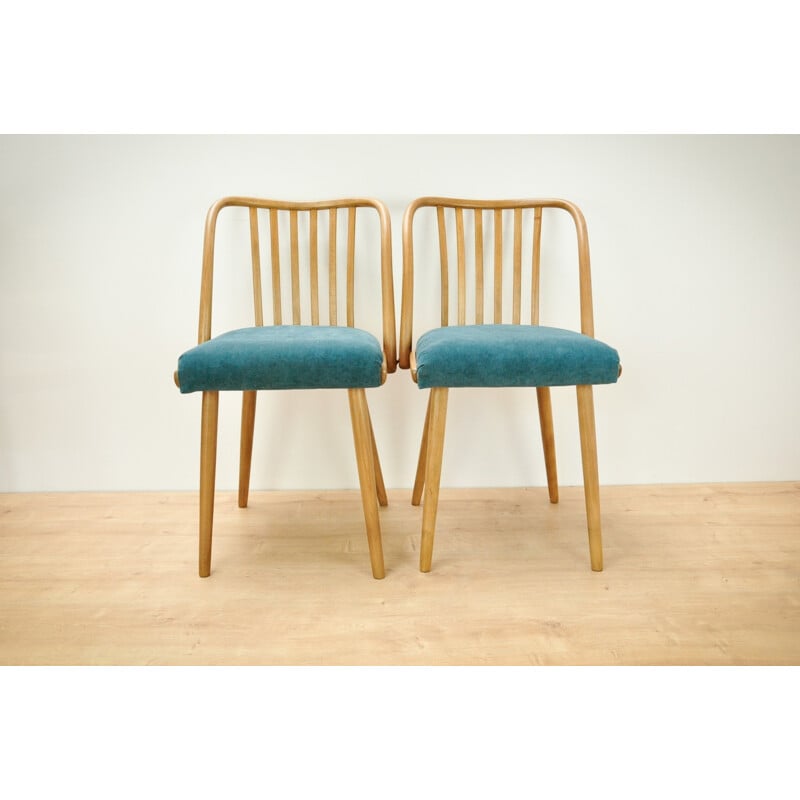 Suite de 2 chaises vintage en hêtre par Antonin Suman pour Ton - 1960