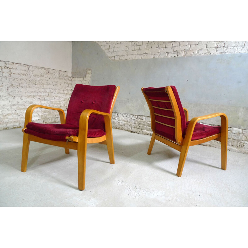 Set of 2 vintage easy chairs by Cees Braakman for Pastoe - 1950s