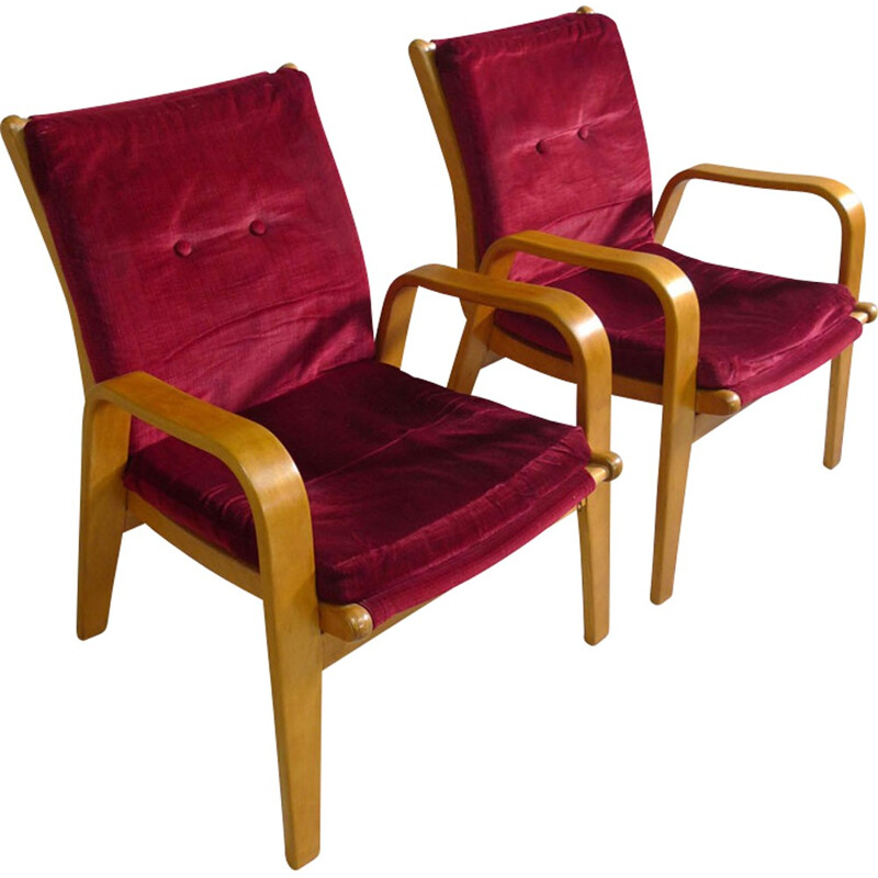 Set of 2 vintage easy chairs by Cees Braakman for Pastoe - 1950s