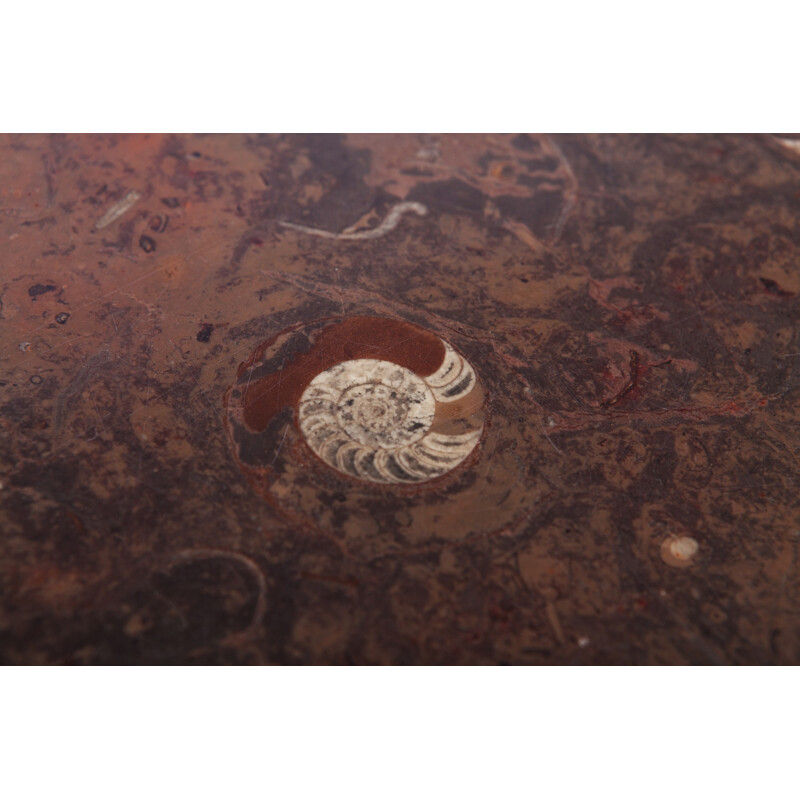 Table basse vintage avec incrustation fossile par Etienne Allemeersch - 1970