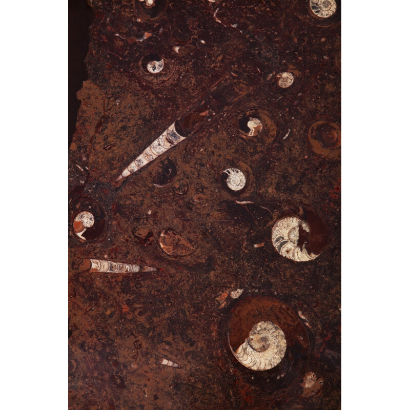 Table basse vintage avec incrustation fossile par Etienne Allemeersch - 1970