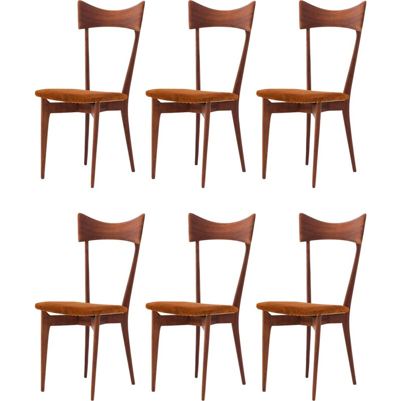 Suite de 6 chaises à repas en cuir naturel et acajou par Ico Parisi - 1950
