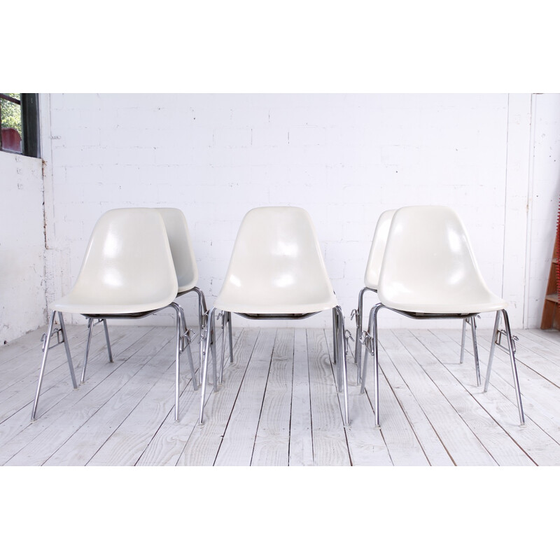 Set of 6 vintage DSS fiberglass chairs by Charles & Ray Eames for Herman Miller - 1970s