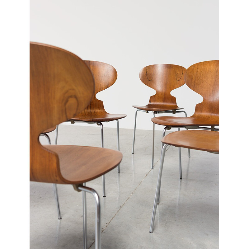 Set of 6 Danish Ant chairs in rosewood by Arne Jacobsen for Fritz Hansen - 1950s