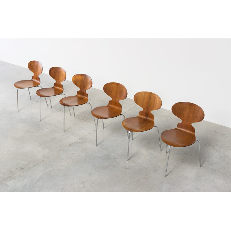 Set of 6 Danish Ant chairs in rosewood by Arne Jacobsen for Fritz Hansen - 1950s