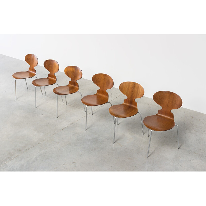 Suite de 6 chaises danoises en palissandre par Arne Jacobsen pour Fritz Hansen - 1950