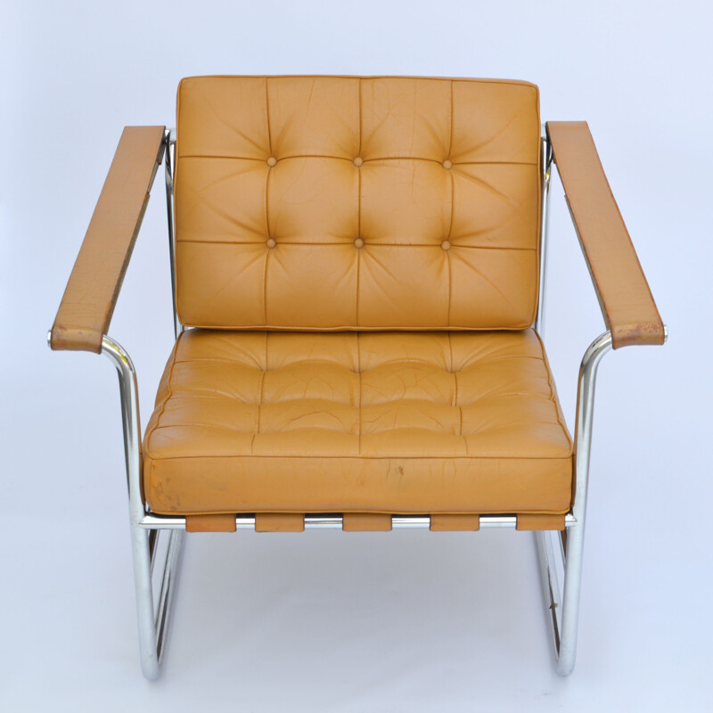 Vintage amrchairs HE-113 by Hans Eichenberger for De Sede - 1960s