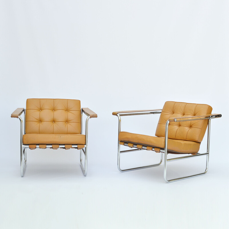 Vintage amrchairs HE-113 by Hans Eichenberger for De Sede - 1960s