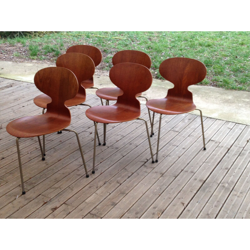Ensemble de 6 chaises tripodes d'Arne Jacobsen