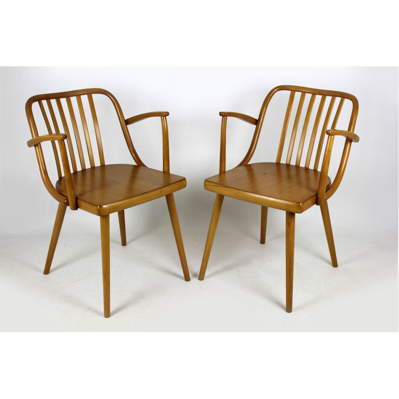 Paire de fauteuils vintages tchèques en bois par Antonin Suman