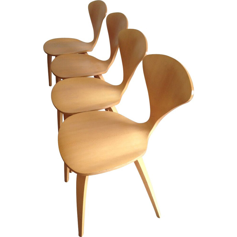 Set of 4 chairs in beechwood by Norman Cherner