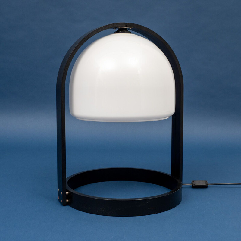 Vintage small floor lamp in wood and plastic by Temde