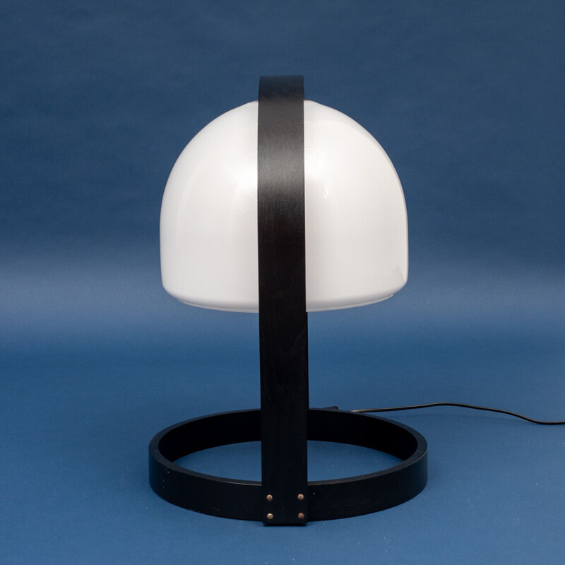 Vintage small floor lamp in wood and plastic by Temde