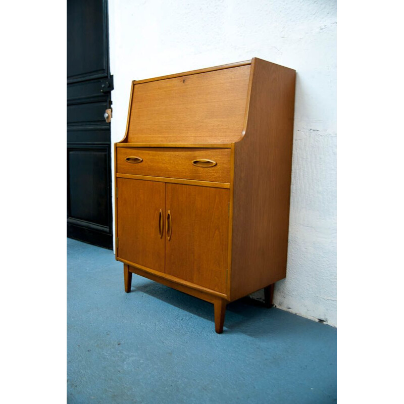 Vintage Scandinavian Wooden Cabinet