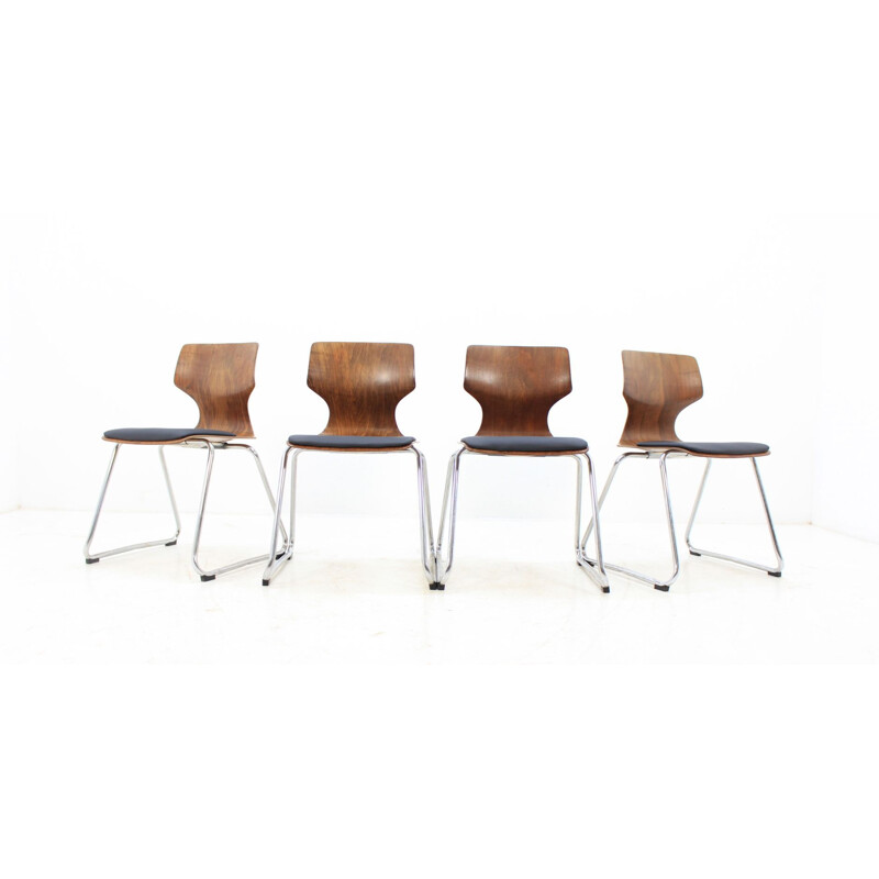 Set of 4 Pagholz chairs by Elmar Flototto