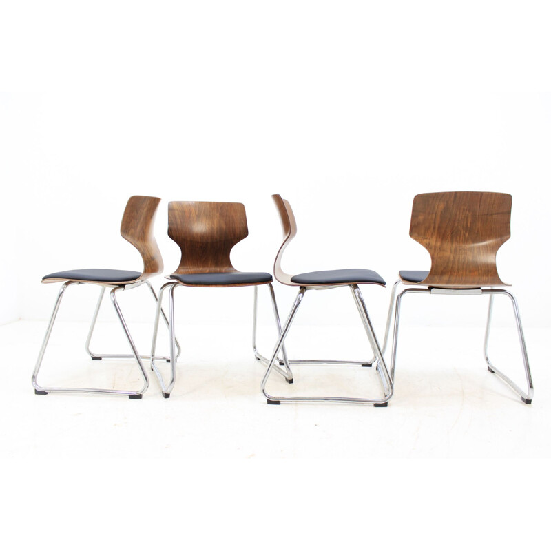 Set of 4 Pagholz chairs by Elmar Flototto