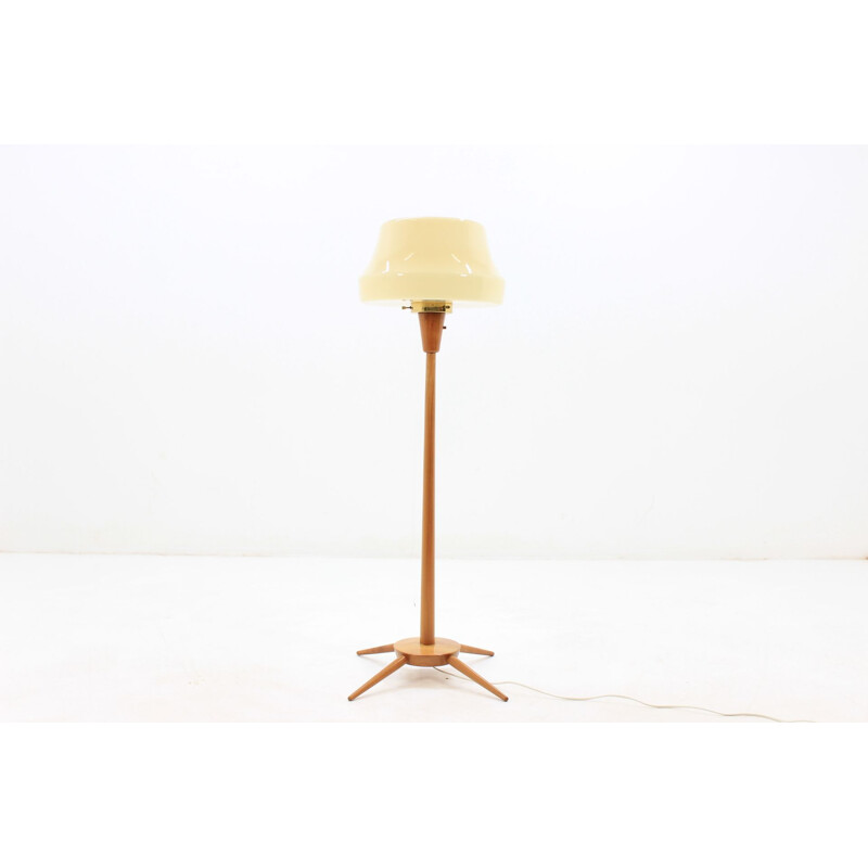 Vintage Czech floor lamp in wood