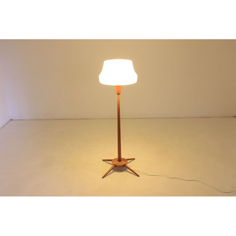 Vintage Czech floor lamp in wood