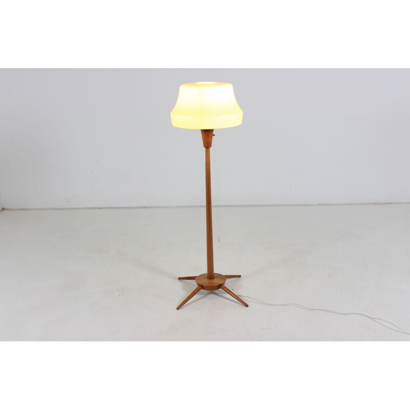 Vintage Czech floor lamp in wood