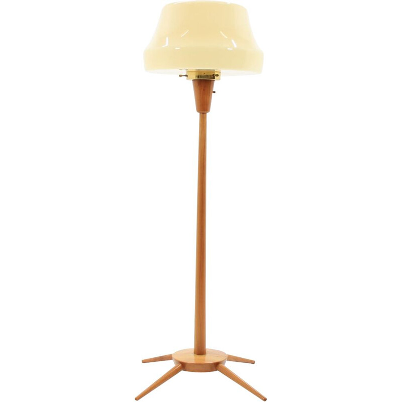 Vintage Czech floor lamp in wood