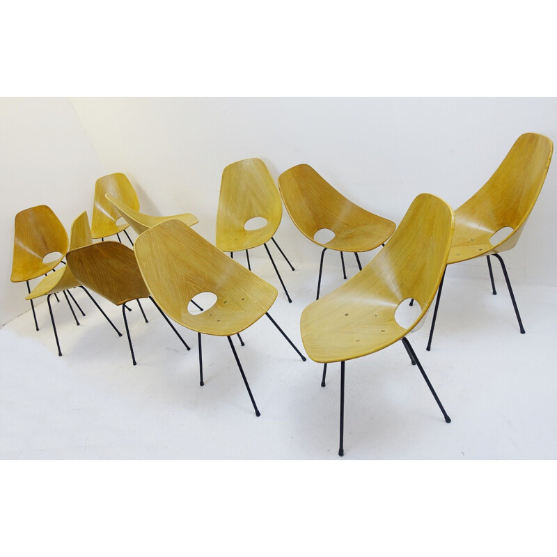 Set of 10 Medea Dining Chairs By Vittorio NOBILI For Tagliabue