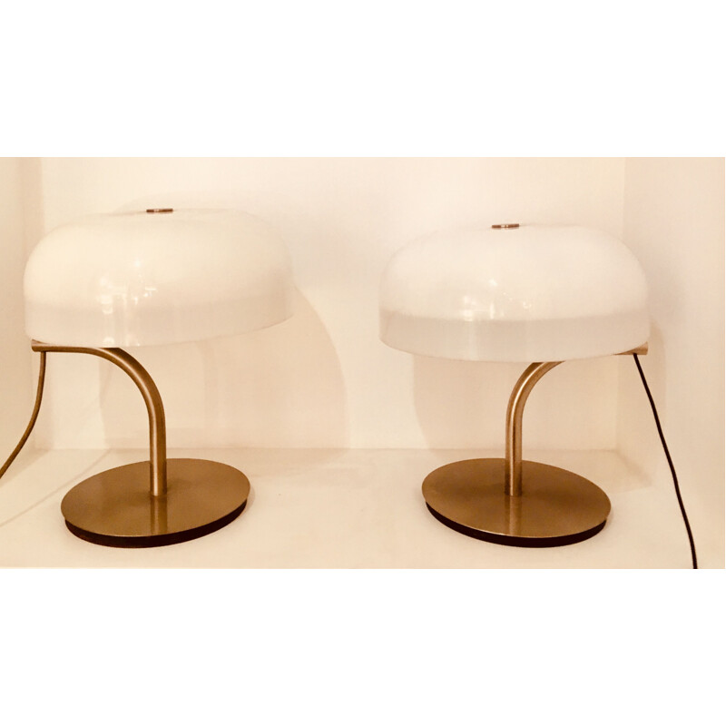 Vintage set of 2 lamps by Giotto Stoppino