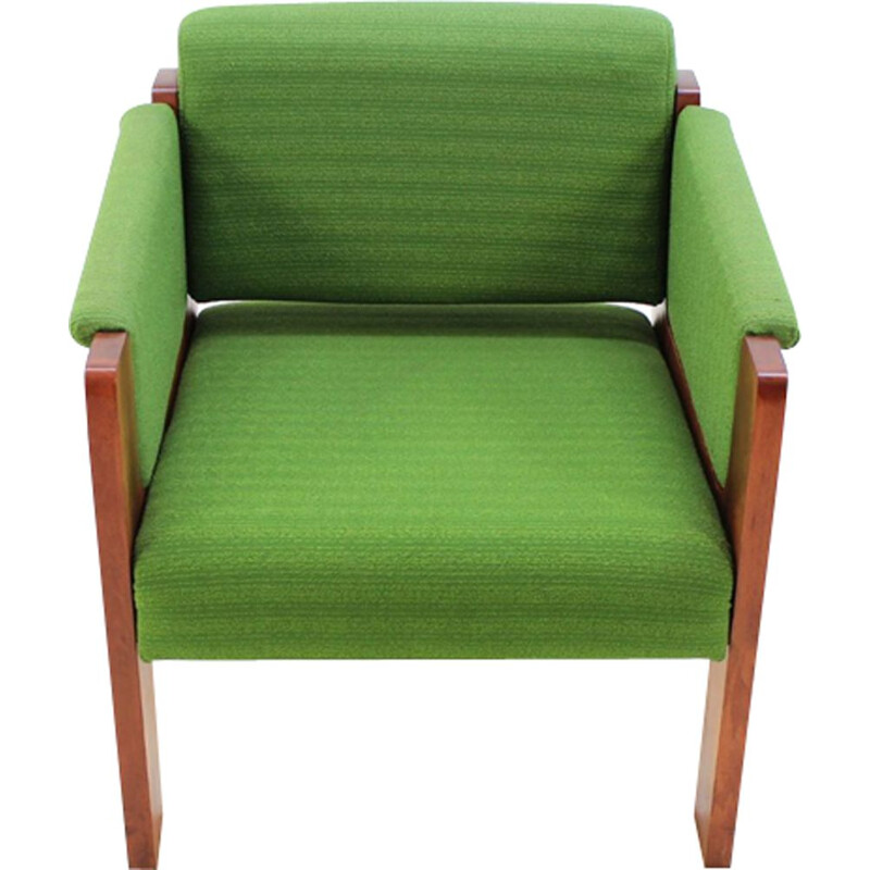 Vintage green Lounge Chair