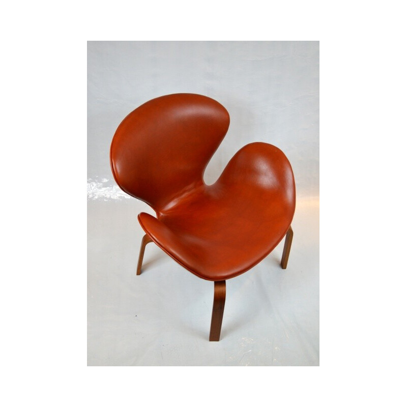 Swan armchair in teak and cognac leather, Arne JACOBSEN - 1958