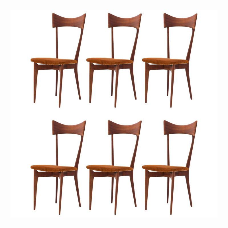 Set of 6 vintage dining chairs by Ico Parisi 1950