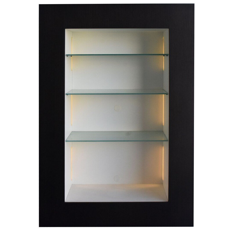 Vintage electrified display case in black lacquered wood for Acerbis