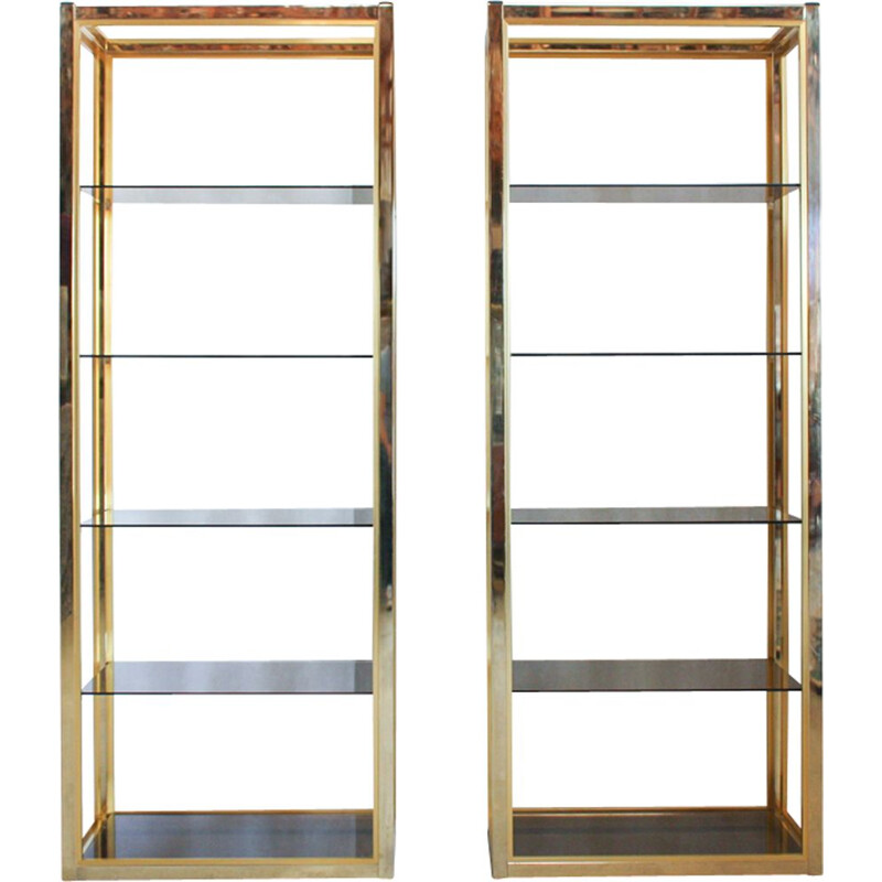 Vintage set of 2 Italian bookshelves by Renato Zevi