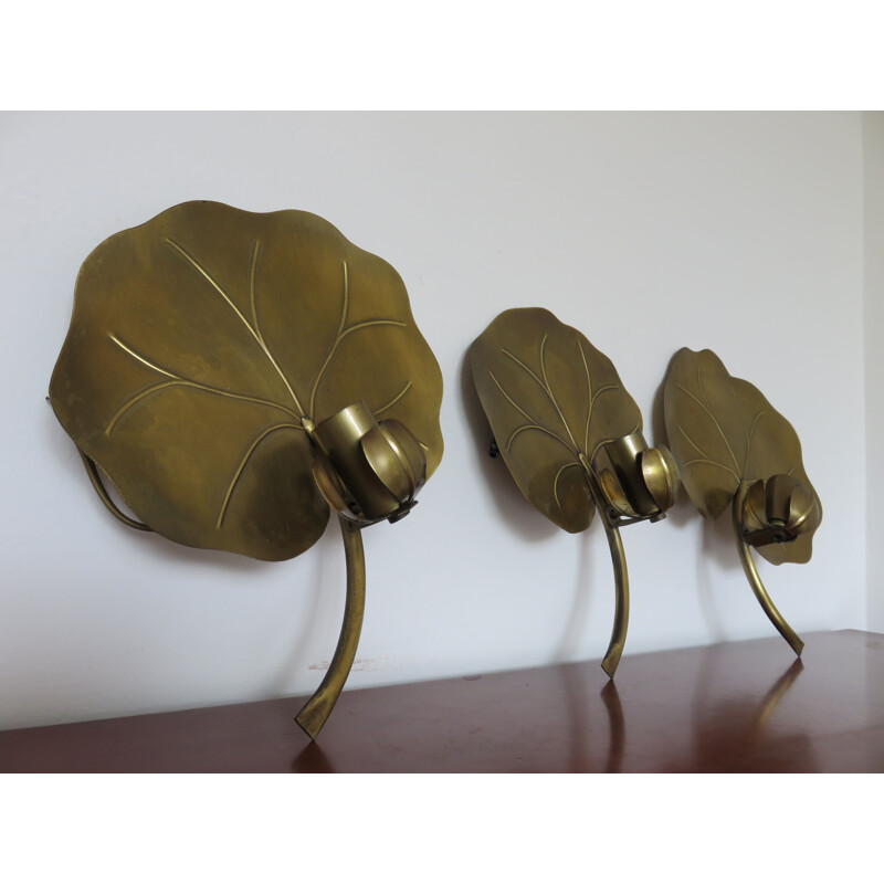 Set of 3 "Nenuphar" sconces in brass