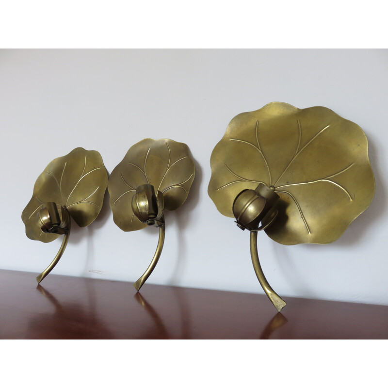 Set of 3 "Nenuphar" sconces in brass