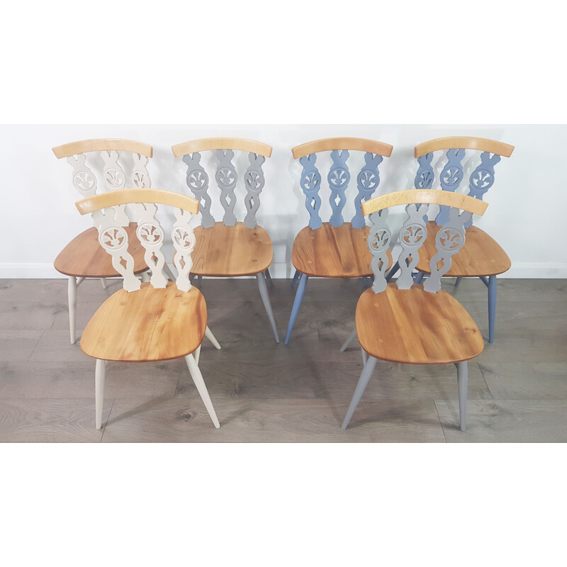 Set of 6 vintage coloured Ercol dining chairs by Lucian Ercolani