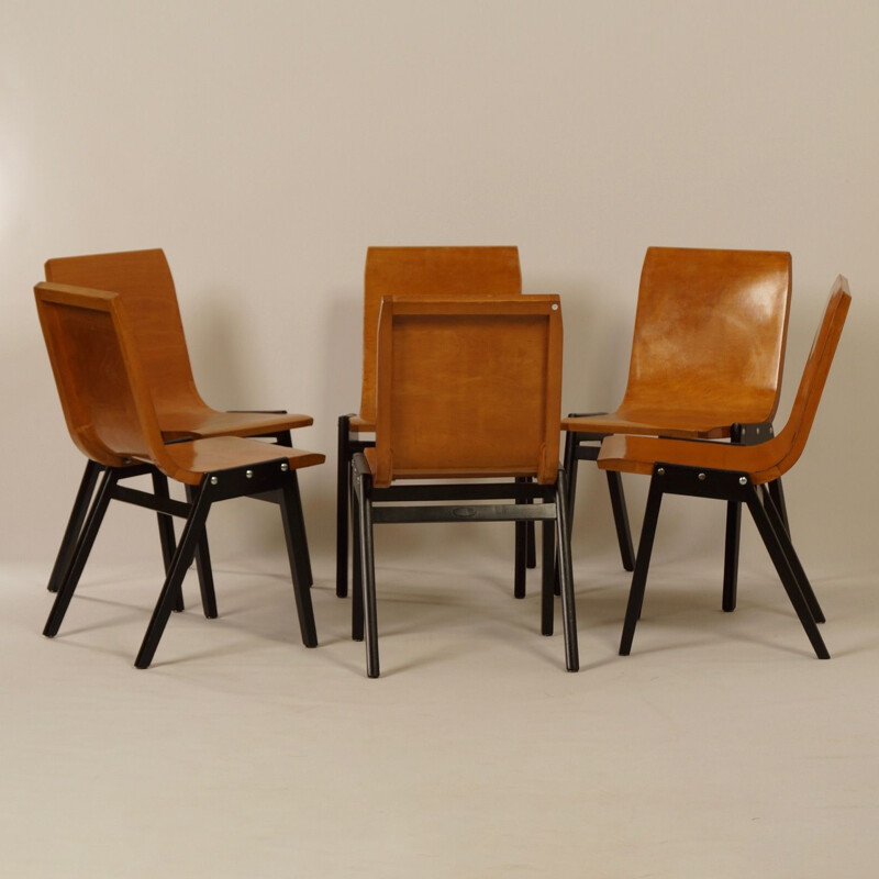 Set of 6 vintage black chairs by Roland Rainer in beechwood 1950