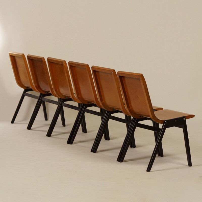 Set of 6 vintage black chairs by Roland Rainer in beechwood 1950