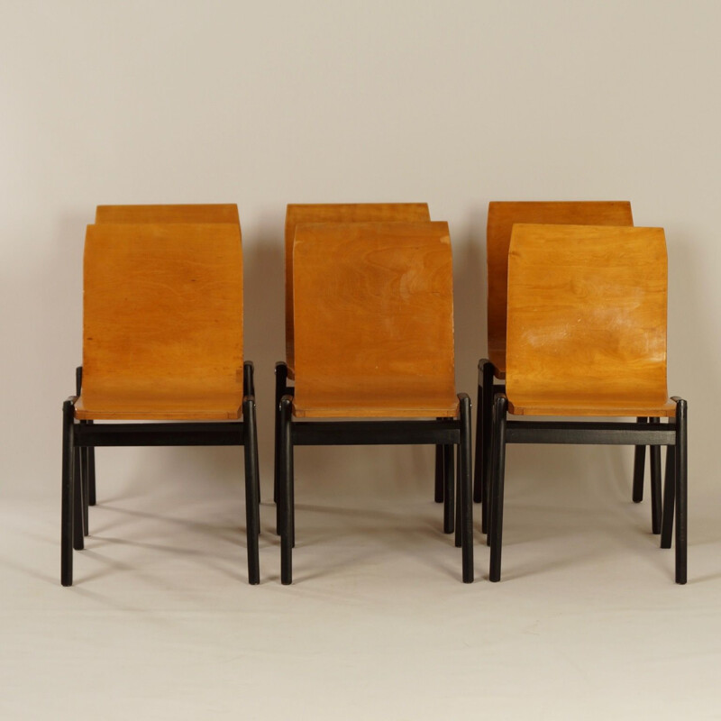 Set of 6 vintage black chairs by Roland Rainer in beechwood 1950