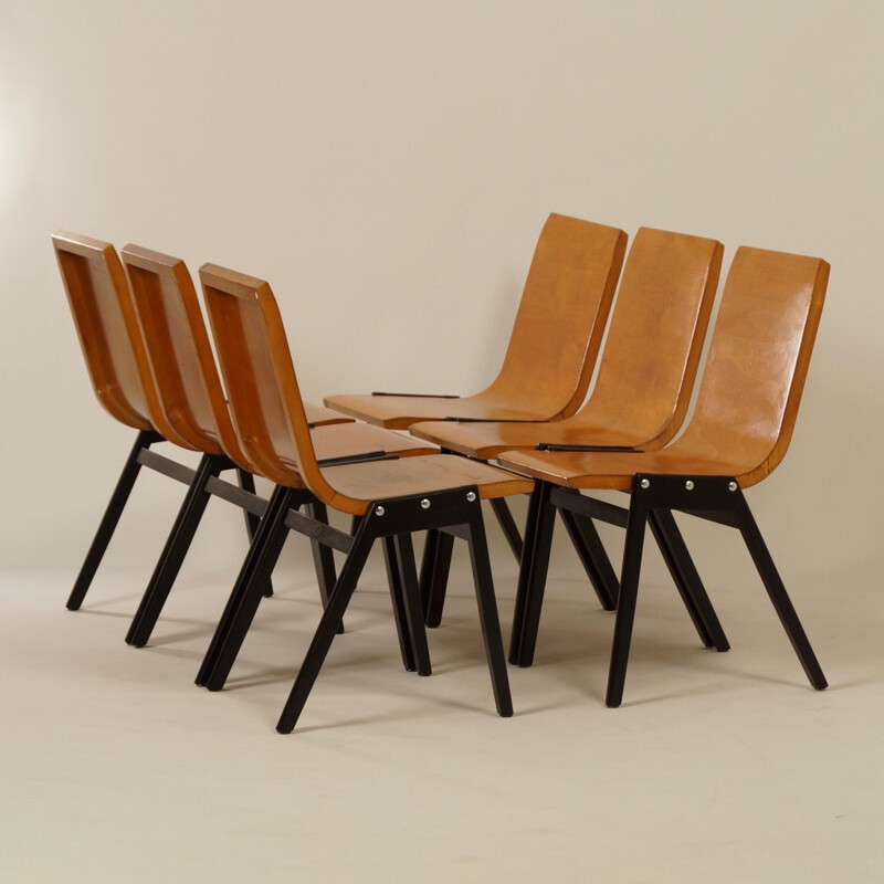 Set of 6 vintage black chairs by Roland Rainer in beechwood 1950