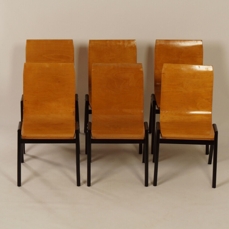 Set of 6 vintage black chairs by Roland Rainer in beechwood 1950