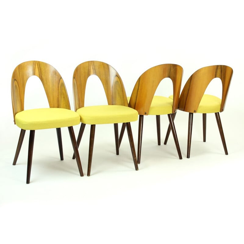 Set of 4 vintage yellow dining chair in walnut by Antonin Suman for Tatra