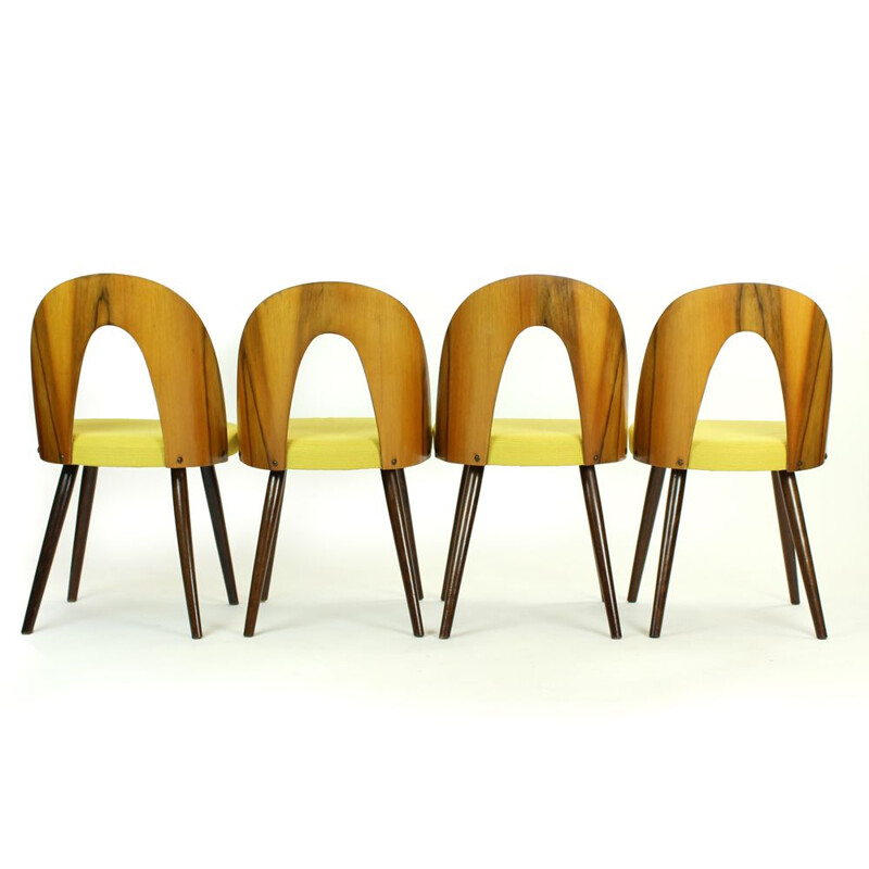 Set of 4 vintage yellow dining chair in walnut by Antonin Suman for Tatra