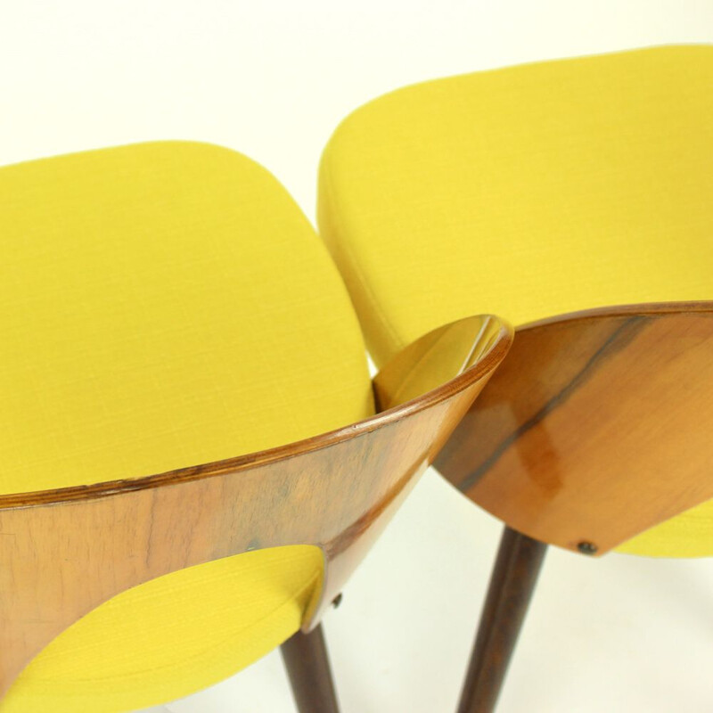 Suite de 4 chaises vintage jaunes en noyer par Antonin Suman pour Tatra