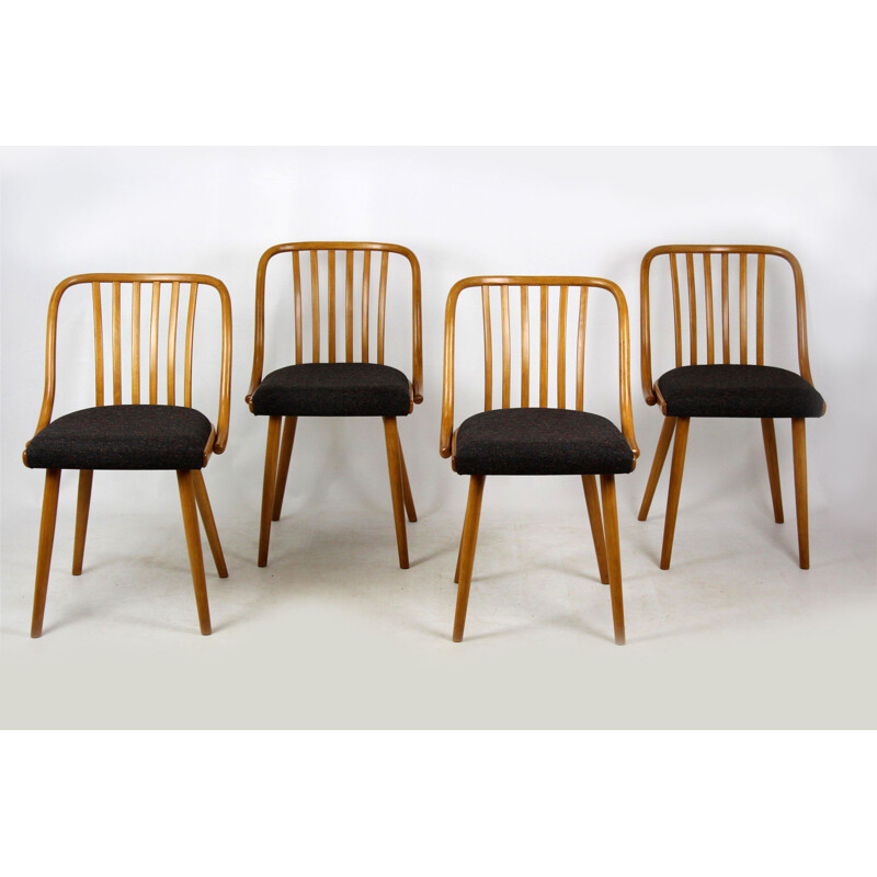 Set of 4 vintage black dining chairs by Antonin Suman in beechwood 1960