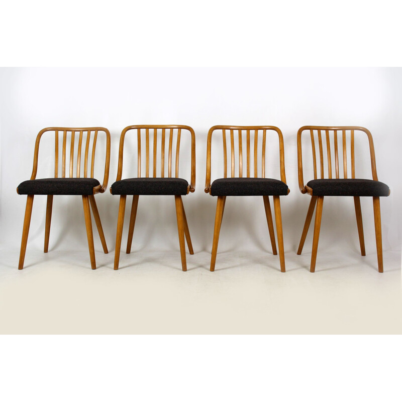 Set of 4 vintage black dining chairs by Antonin Suman in beechwood 1960