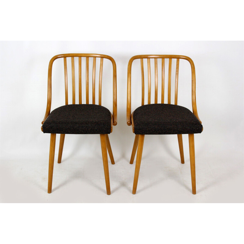 Set of 4 vintage black dining chairs by Antonin Suman in beechwood 1960