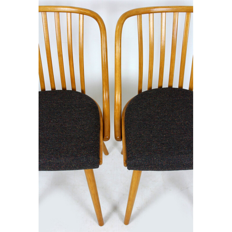 Set of 4 vintage black dining chairs by Antonin Suman in beechwood 1960