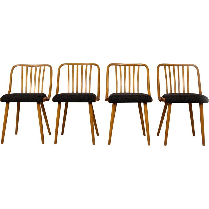 Set of 4 vintage black dining chairs by Antonin Suman in beechwood 1960