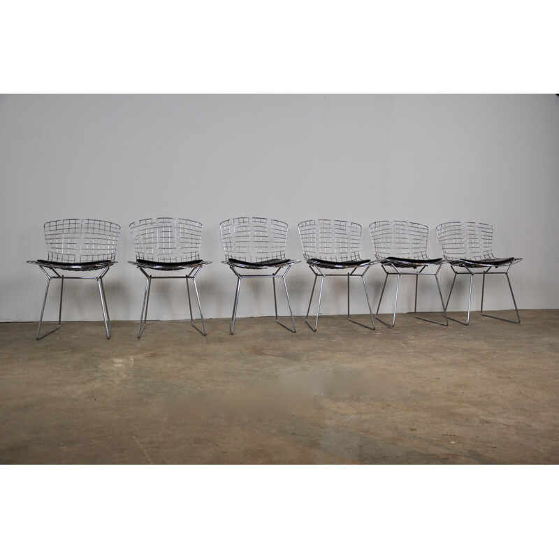 Set of 6 vintage chairs by Harry Bertoia for Knoll international