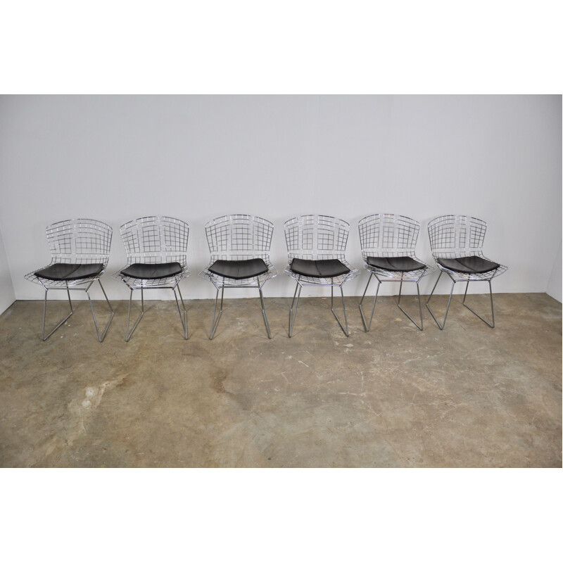 Set of 6 vintage chairs by Harry Bertoia for Knoll international